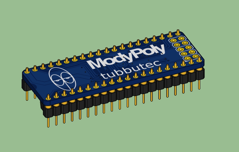 ModyPoly-Model-1
